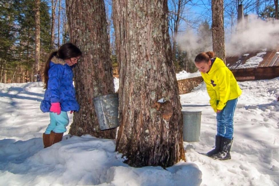 NYS Maple Syrup Weekend - Photo Courtesy of NYS Maple Syrup Weekend NYS Maple Syrup Weekend - Photo Courtesy of NYS Maple Syrup Weekend