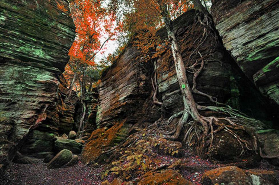 Panama Rocks Scenic Park - Photo by Jonathan Weston Panama Rocks Scenic Park - Photo by Jonathan Weston