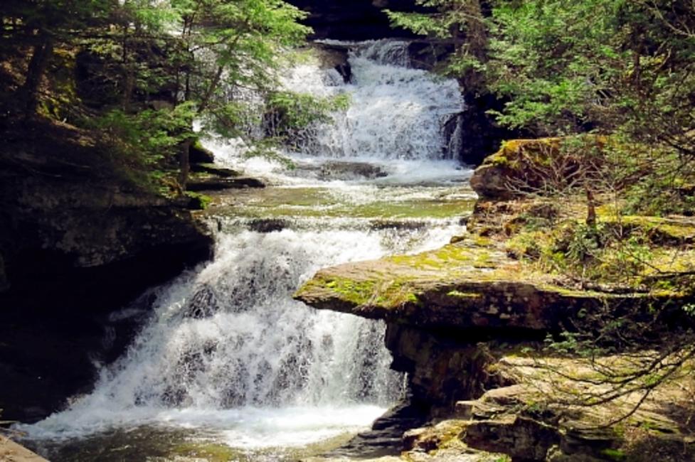 Tompkins Falls Tompkins Falls