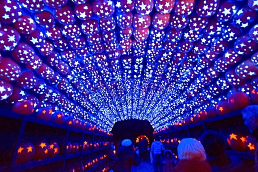 The Great Jack O'Lantern Blaze - Photo Courtesy of Historic Hudson Valley by Tom Nycz The Great Jack O'Lantern Blaze - Photo Courtesy of Historic Hudson Valley by Tom Nycz