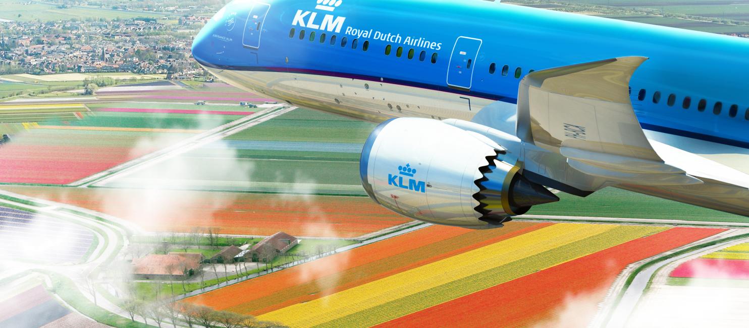 KLM airplane over tulip field