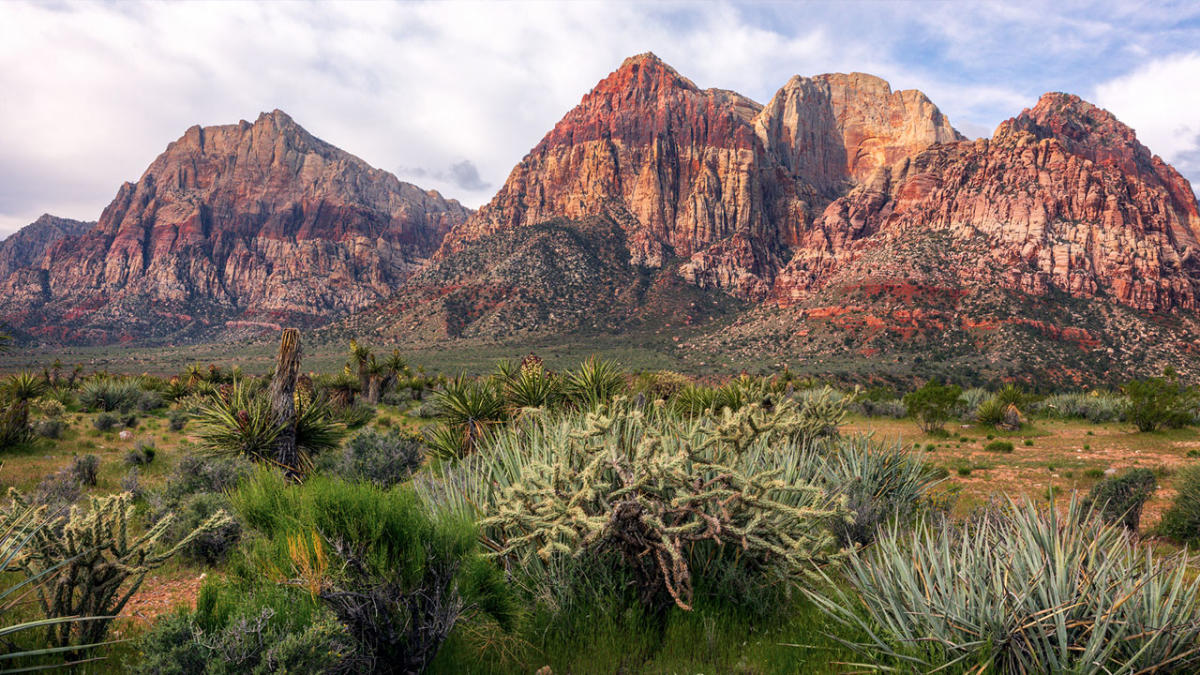 Red Rock Canyon