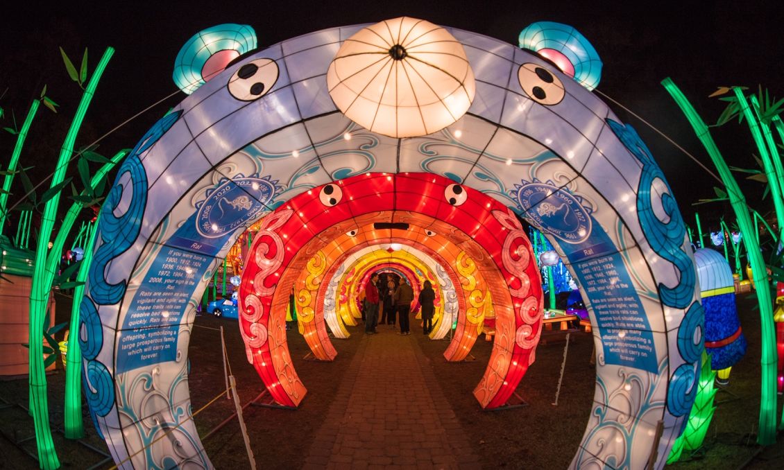 15 Ways to Keep Busy During the Week of Christmas in Raleigh, N.C.