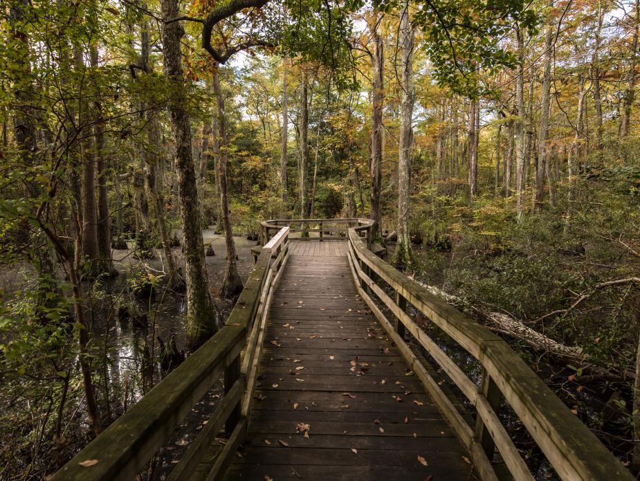 Virginia Beach Parks Outdoor Attractions Recreation Let S Go