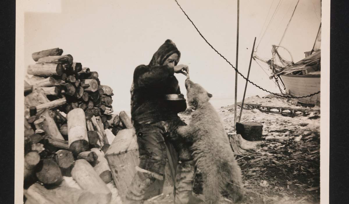 Norwegian traveler Roald Amundsen - that he discovered the Conquest of the South Pole 48 Norwegian traveler Roald Amundsen - that he discovered the Conquest of the South Pole 49