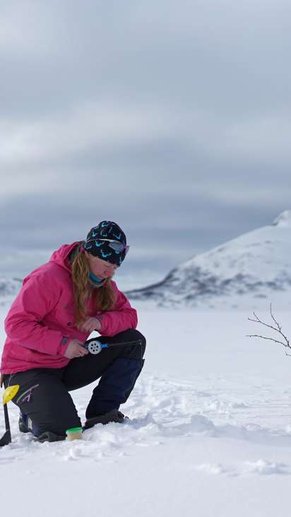 namdalen where nature comes to you