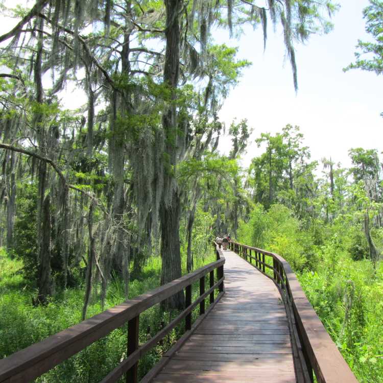 Barataria Preserve