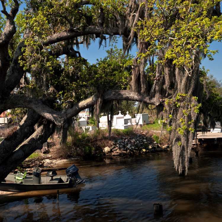 Lafitte Cemeteries and Bayou.