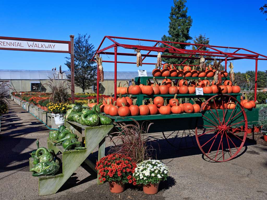Schartner Farms