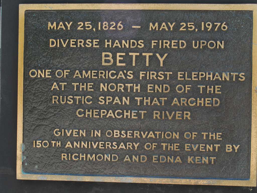 Sign about Betty the elephant