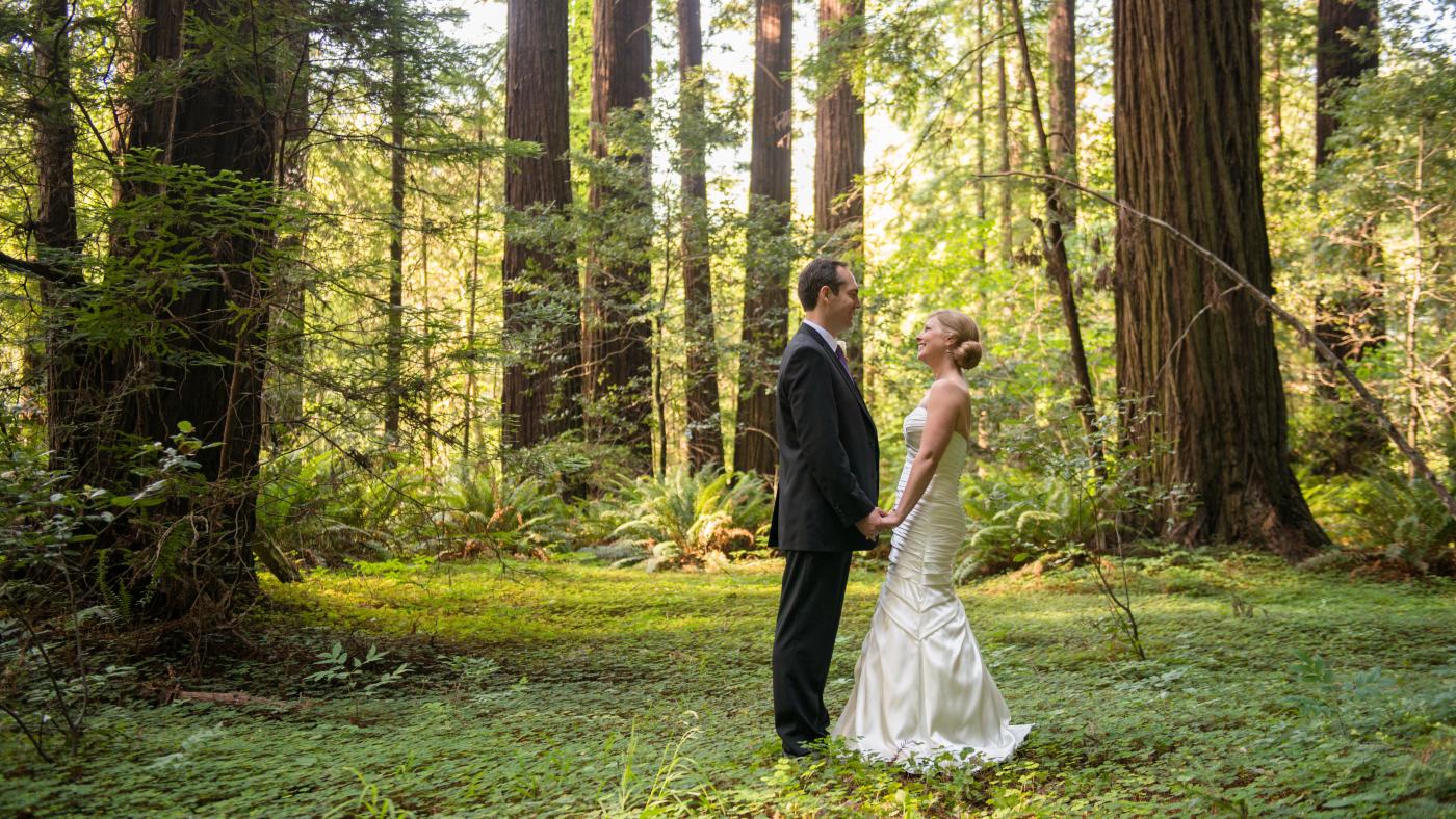 Weddings Wedding In Redwoods