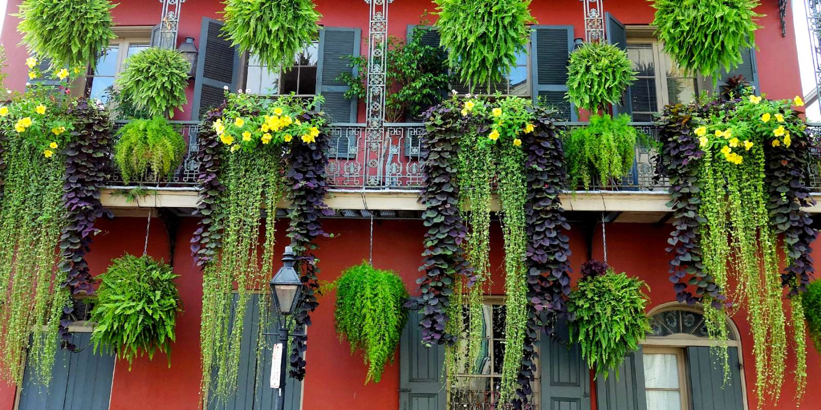 New Orleans Attractions Guide