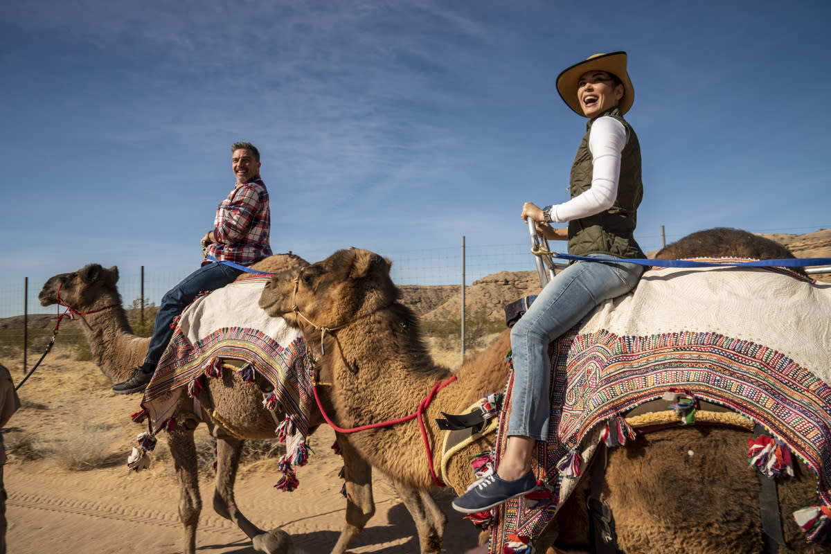 Two people enjoying riding on the backs of Camel at Camel Safari in Mesquite.