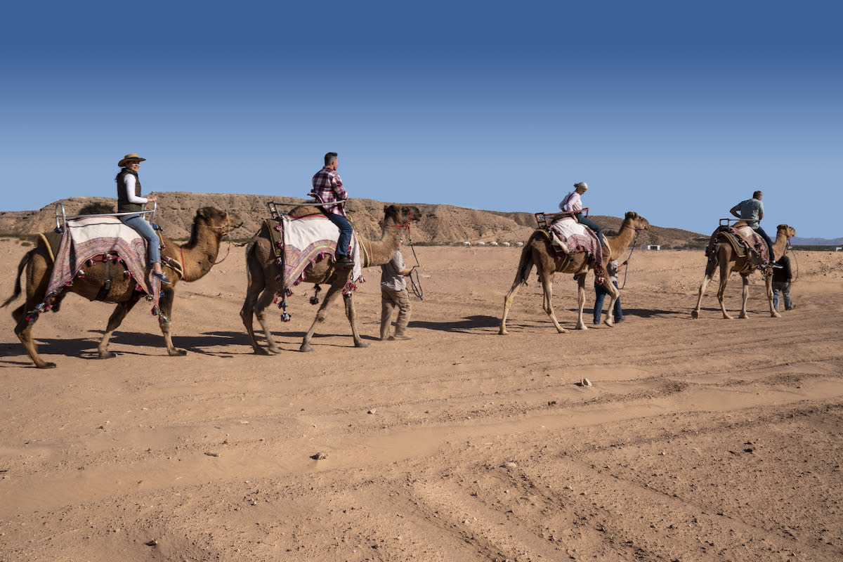 A group going through a camel safari.