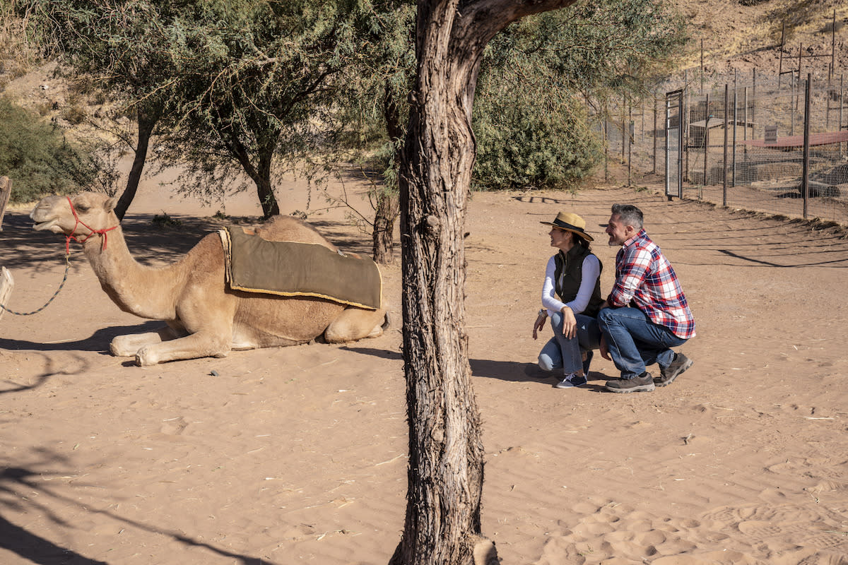 A couple appreciating a camel at the Camel Safari.