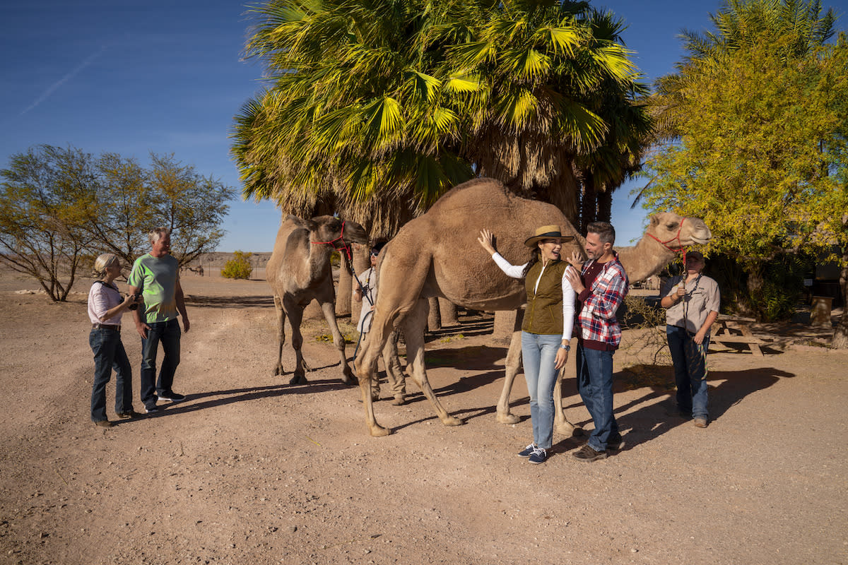 A group of people enjoying themselves at the Camel Safari.