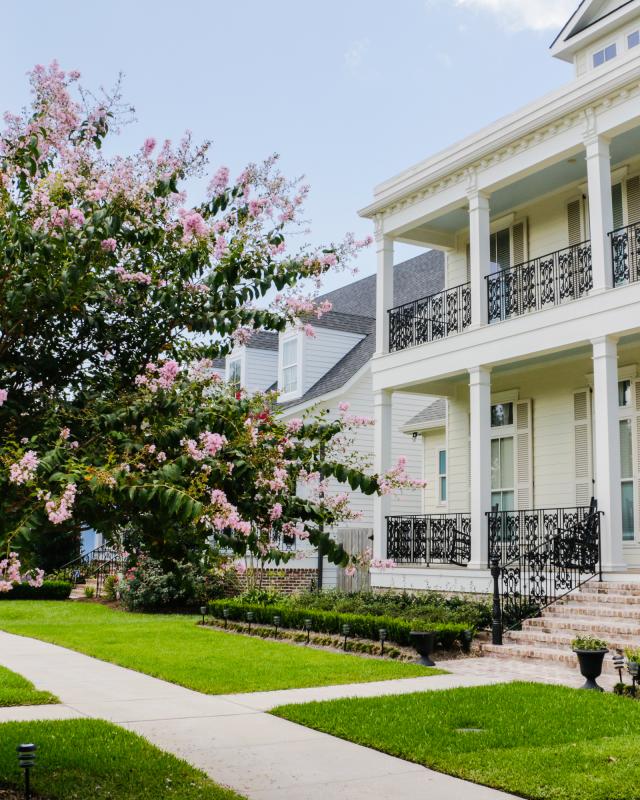 Lakeview Neighborhood New Orleans