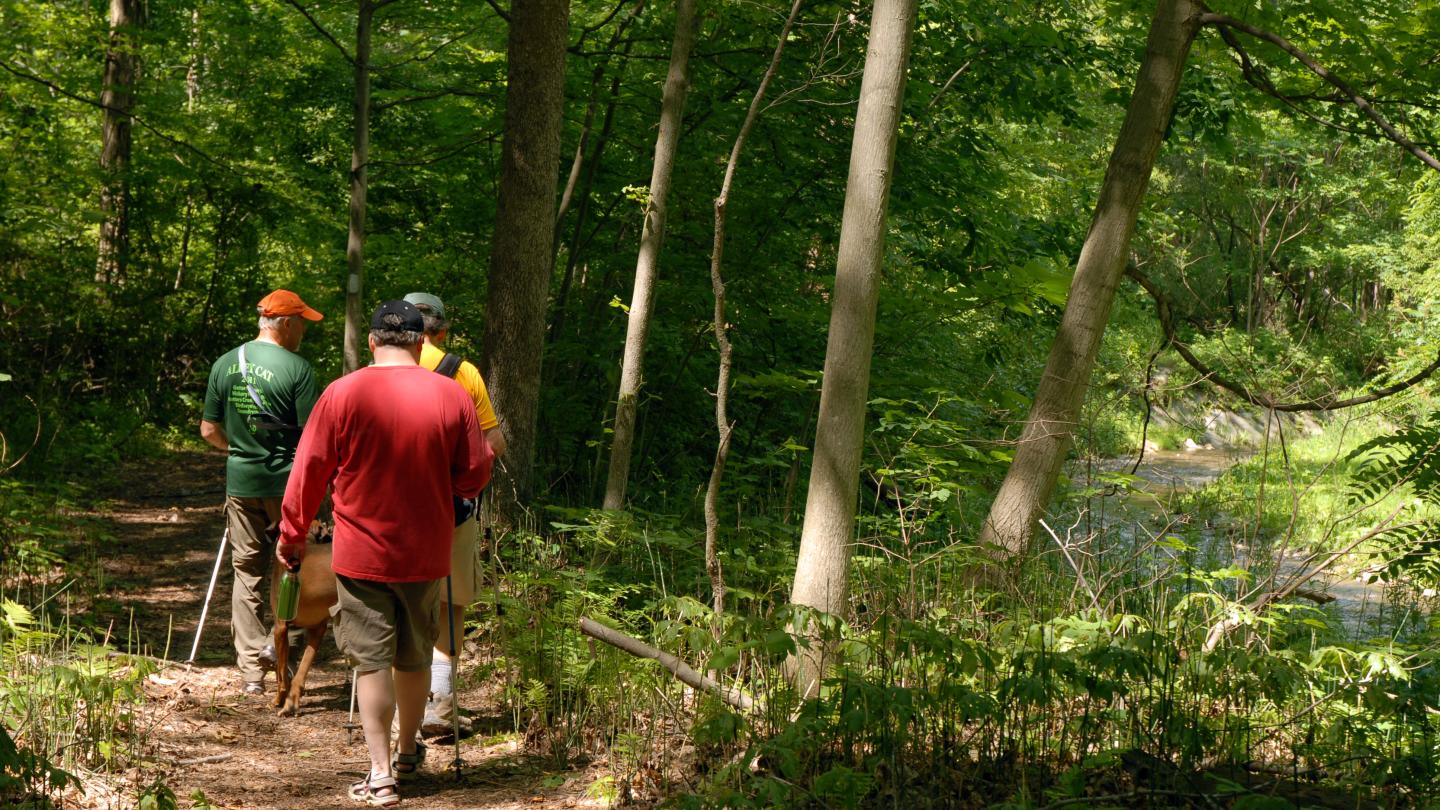 Finger Lakes Trail Hike 196
