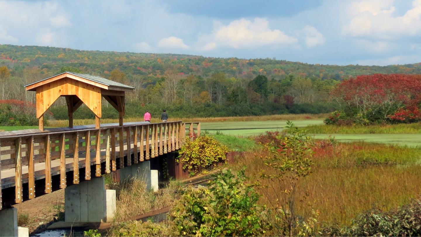 Birdseye Hollow Pond Hike by Nancy Peek