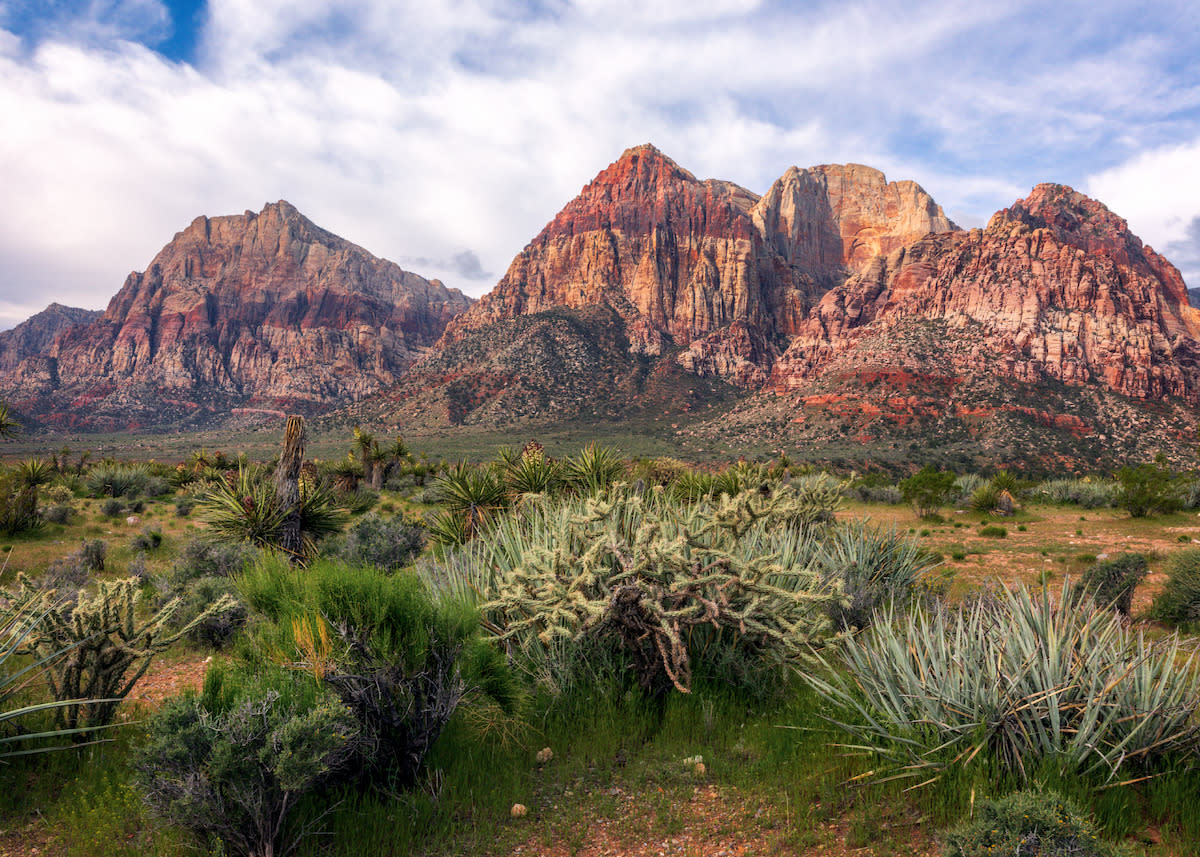 Red Rock Canyon in Las Vegas