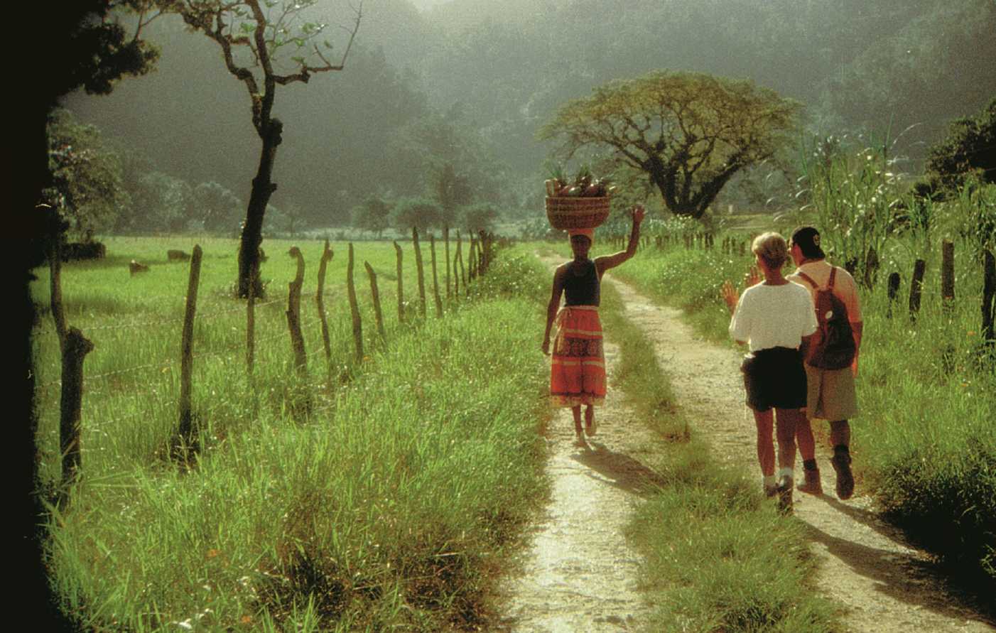 Hikers on the Road