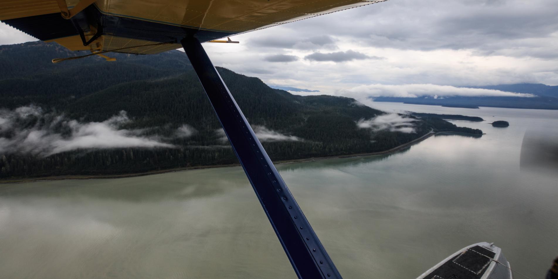 Plane Eye View