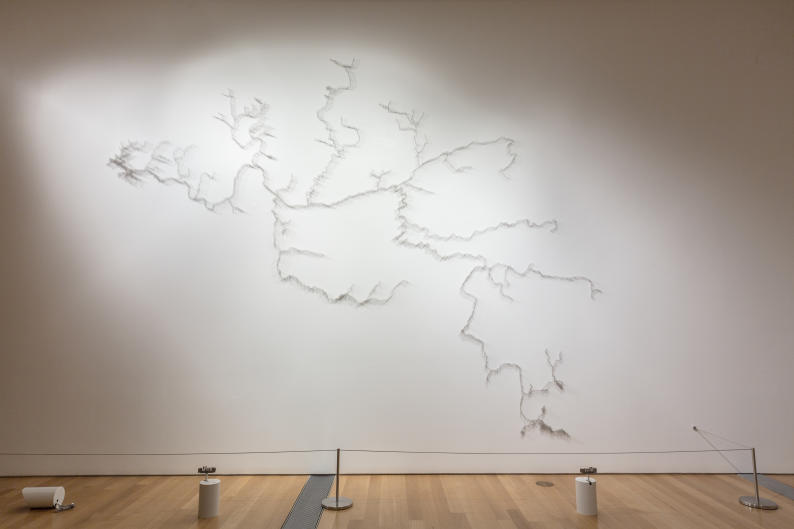 Pin River -- Grand River Watershed is one of the works Lin created for the exhibit at GRAM.