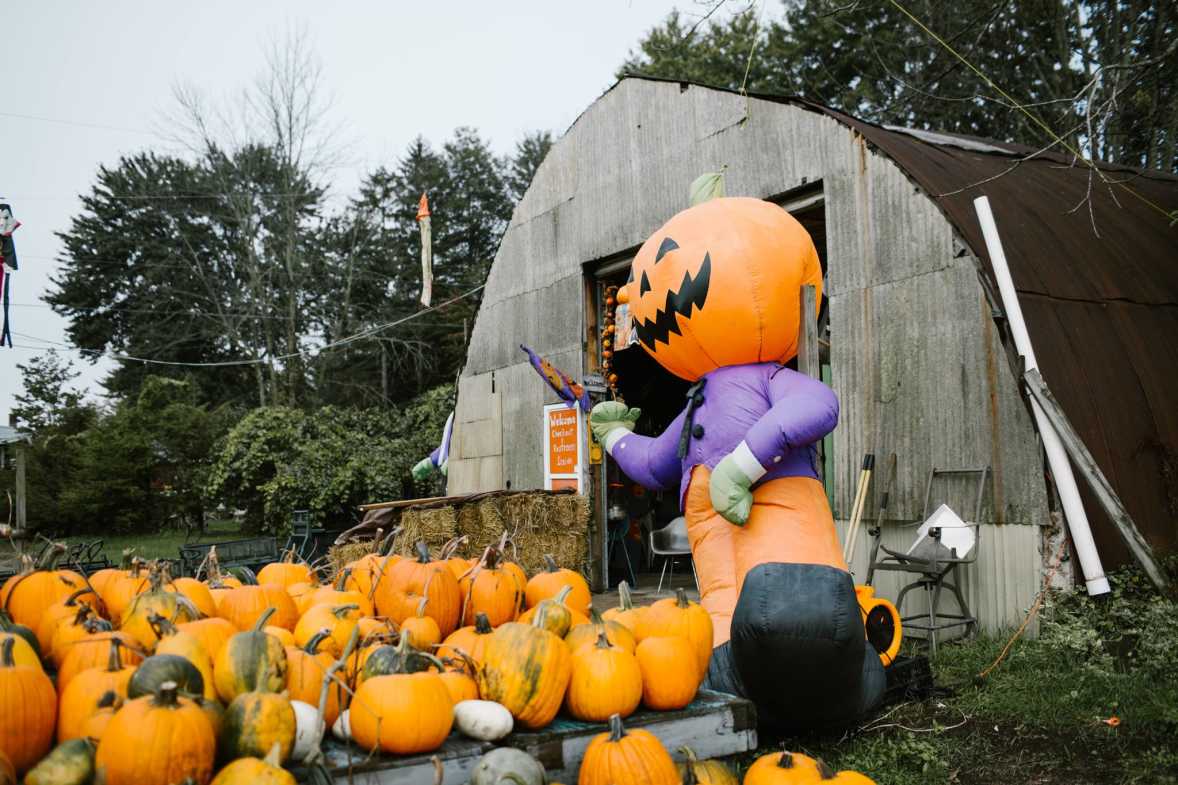Halloween in Grand Rapids Kid Friendly Halloween Activities