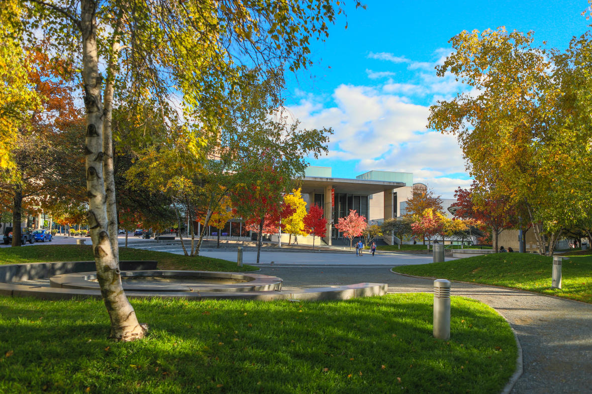 For her work, Ecliptic, Lin deftly combined art and architecture.