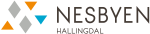Visit Nesbyen logo