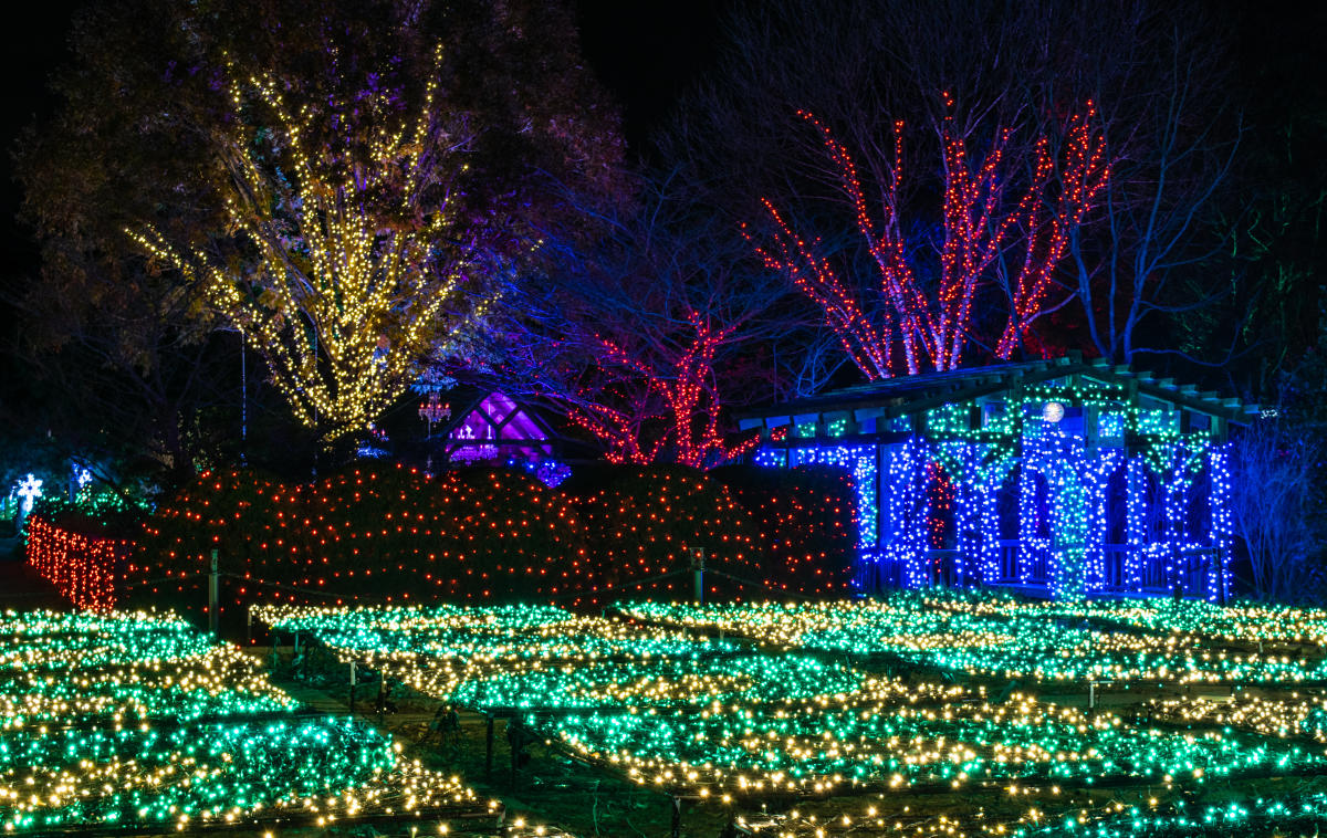 North Carolina Arboretum’s Winter Lights Tickets & Details