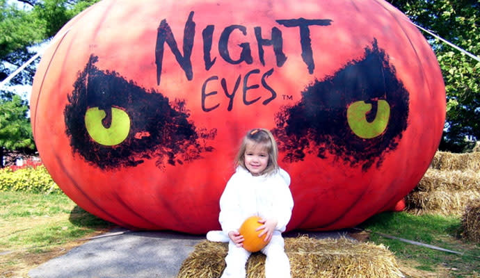 Top Halloween Craft Ideas for Sunday School
post.post_title