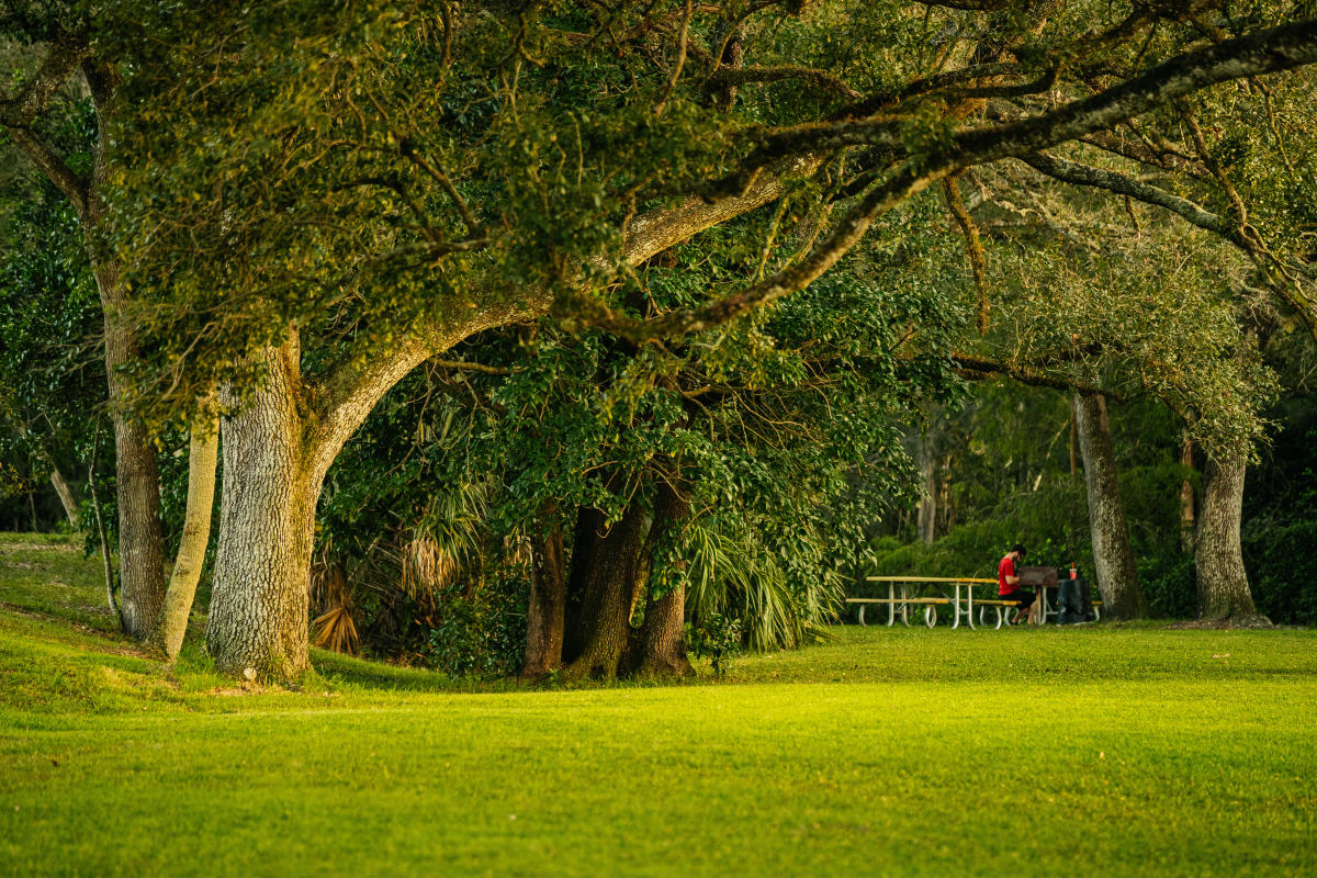 Pembroke Park FL Find Things to Do, Restaurants & Parks