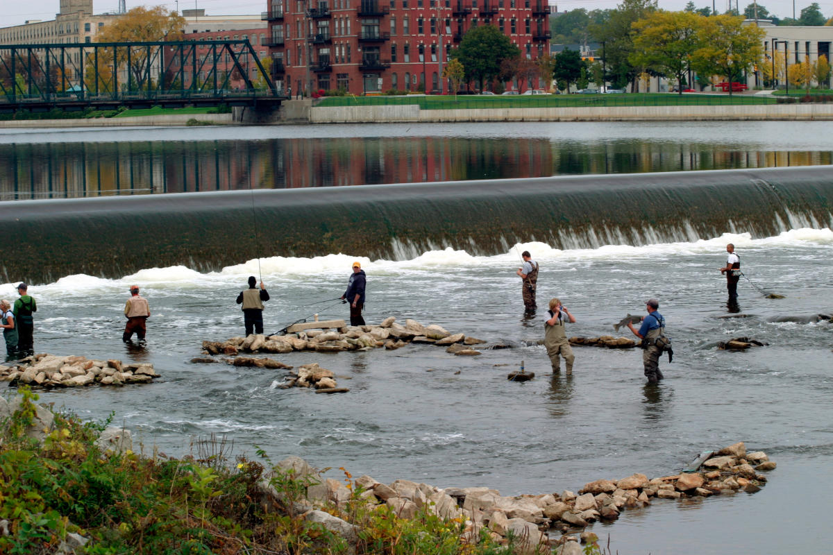 Steelhead Fishing in the Grand Rapids Area