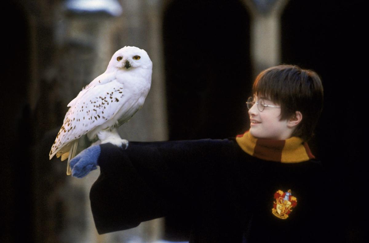 Harry Potter comes to Grand Rapids with the GR Symphony