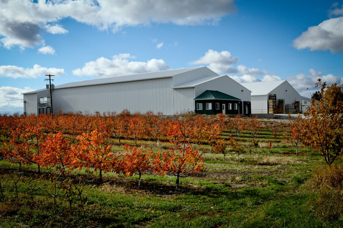 Sparta, Michigan Find Things to Do, Festivals & Restaurants