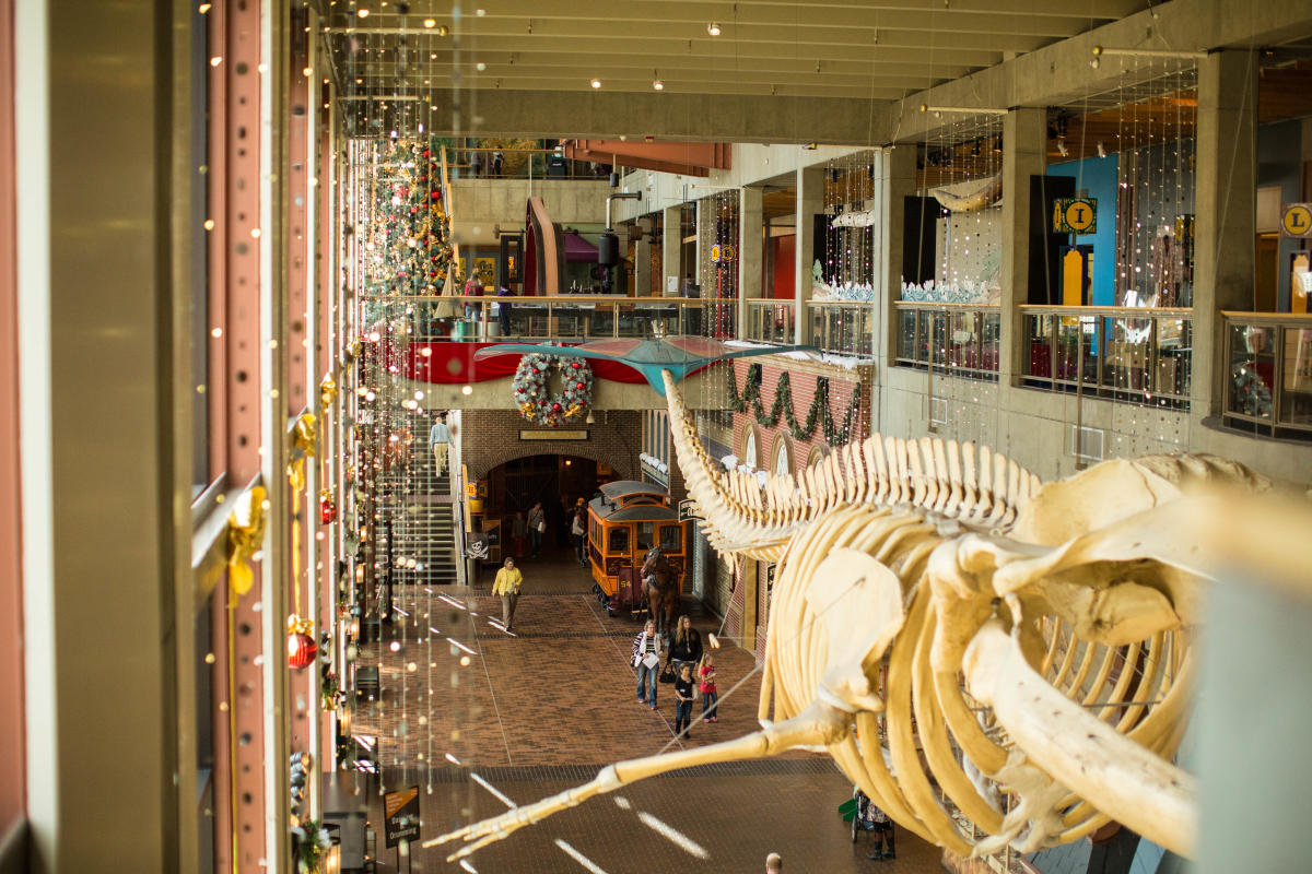 Grand Rapids Public Museum and Grand Rapids Amateur Astronomical