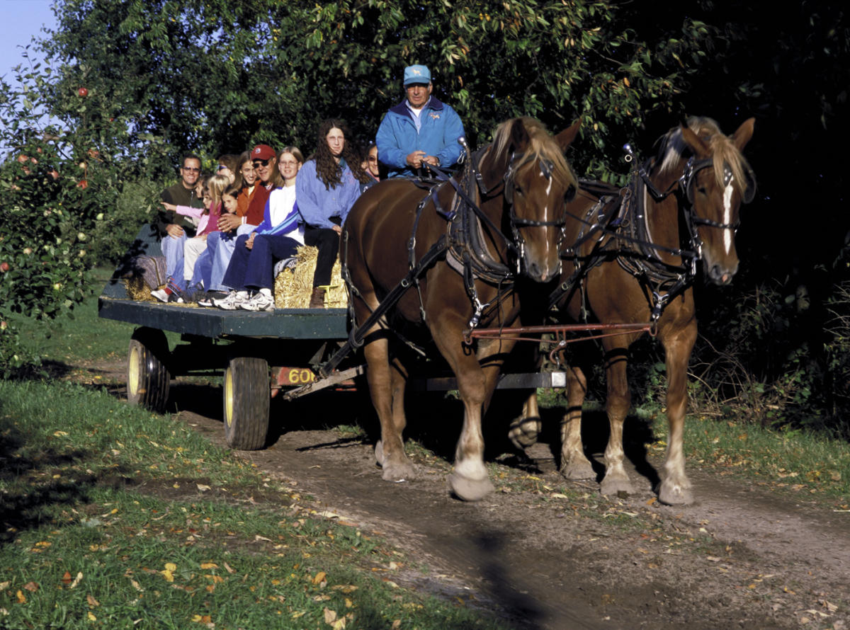 Free Events & Things to Do with Kids in the Fall in Grand ...