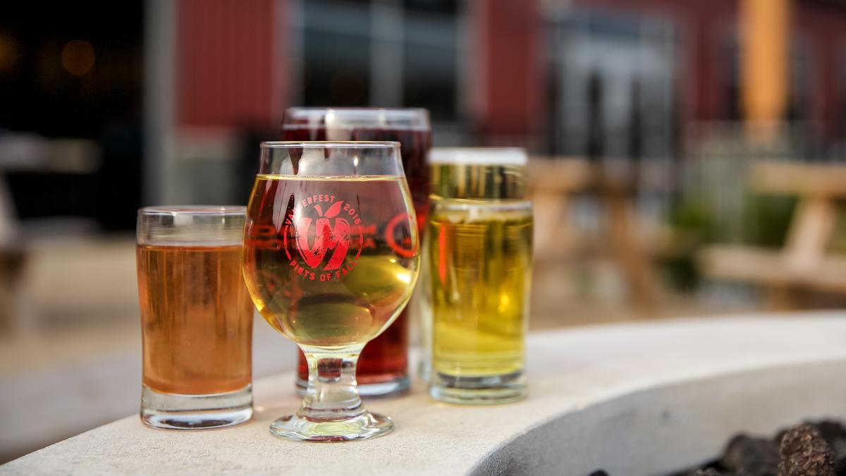 Top 4 Places to Get Craft Hard Cider in Grand Rapids, Michigan