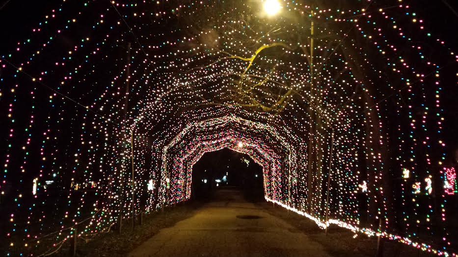 Top 10 Holiday Light Displays In Hendricks County