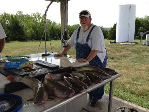 Big Cat Daddy Walleye Big Cat Daddy Walleye Bar Grill