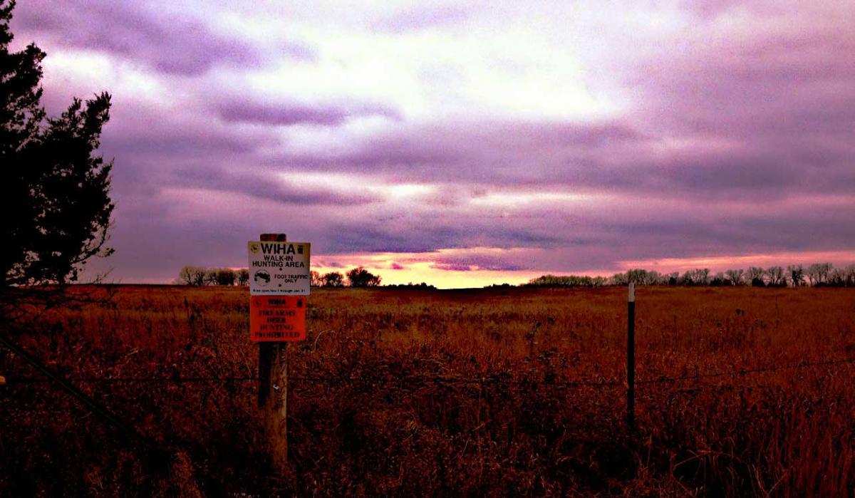 WalkIn Hunting Areas Opportunities for Every Hunter