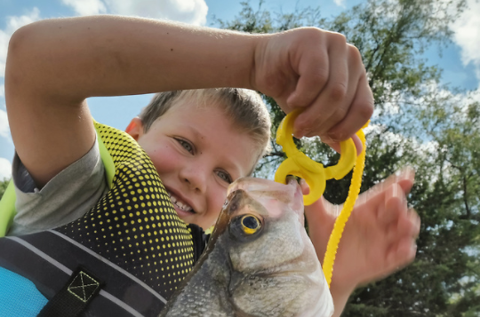 Learn To Fish In Kansas Beginner Fishing Lakes Programs And Tips