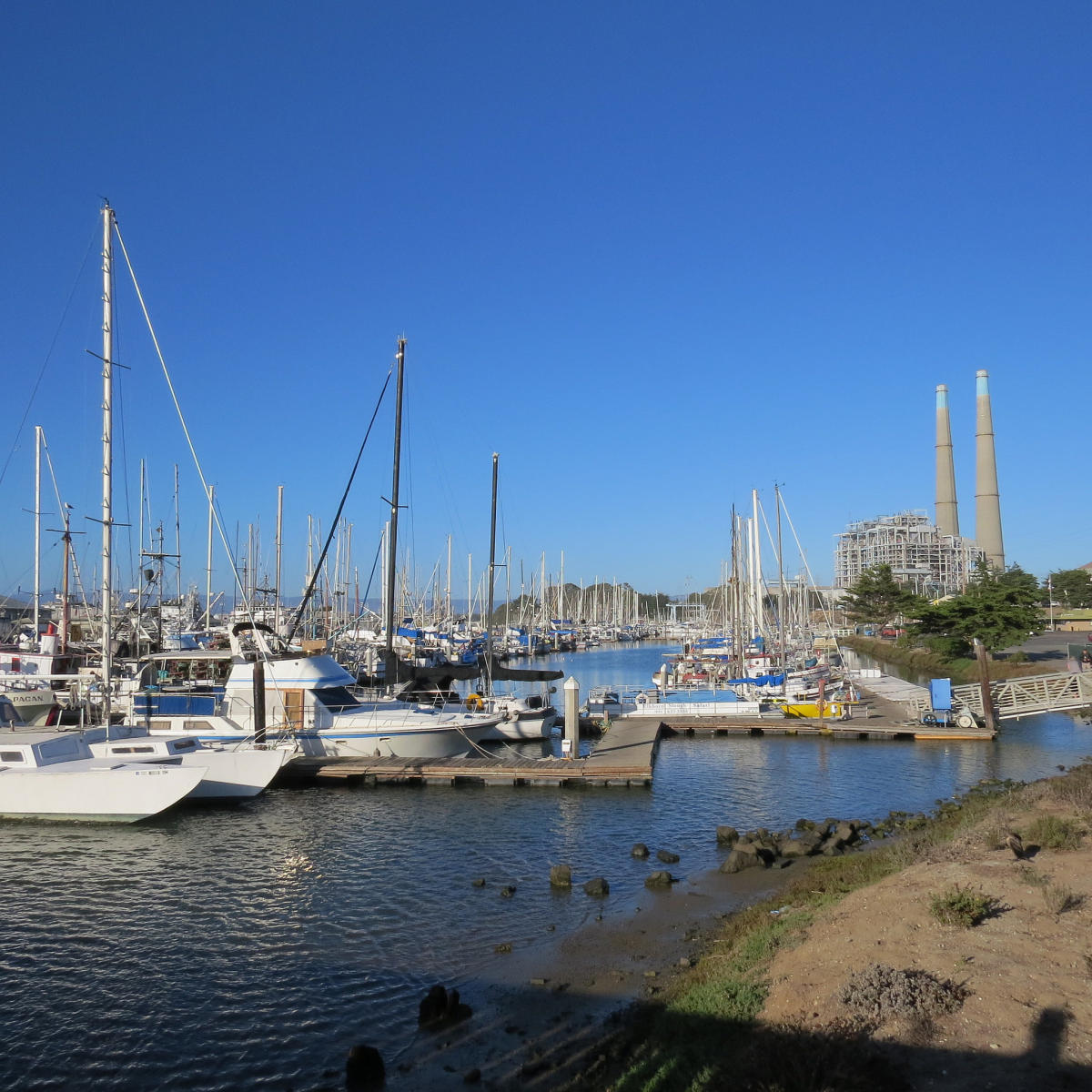 24 Hours in Moss Landing