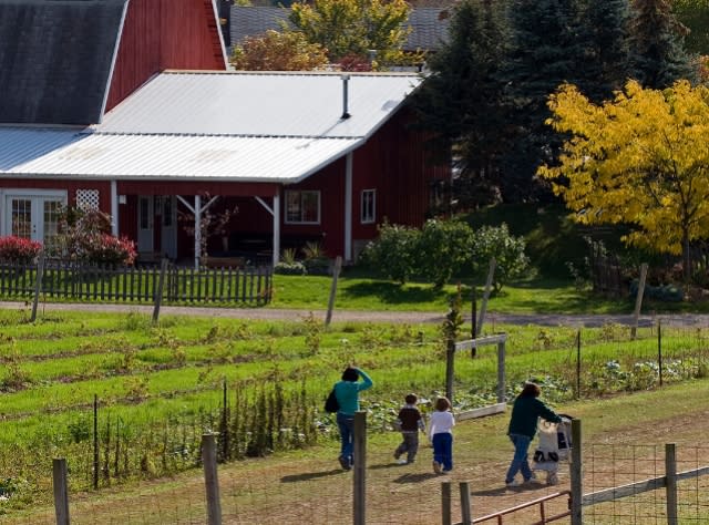 New York Farm Tours Orchards Dairy Farms Local Foods