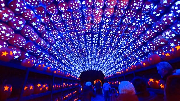 New York Top Fall Events New York Fall Festivals