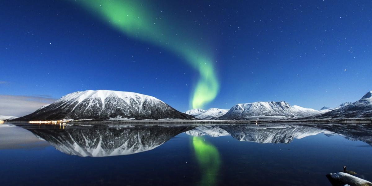 Northern Lights In Vesteralen Winter Whale Safari