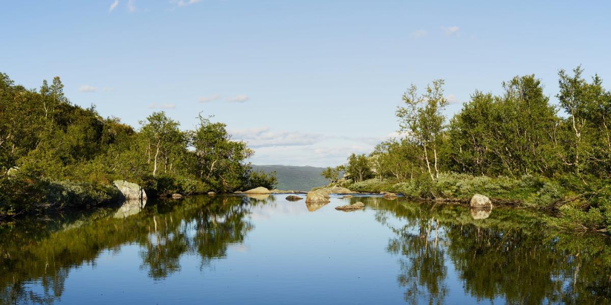 Geilo a sustainable destination Official travel guide to Norway