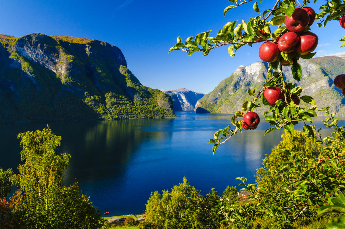 Seasons In Fjord Norway Official Travel Guide To Norway