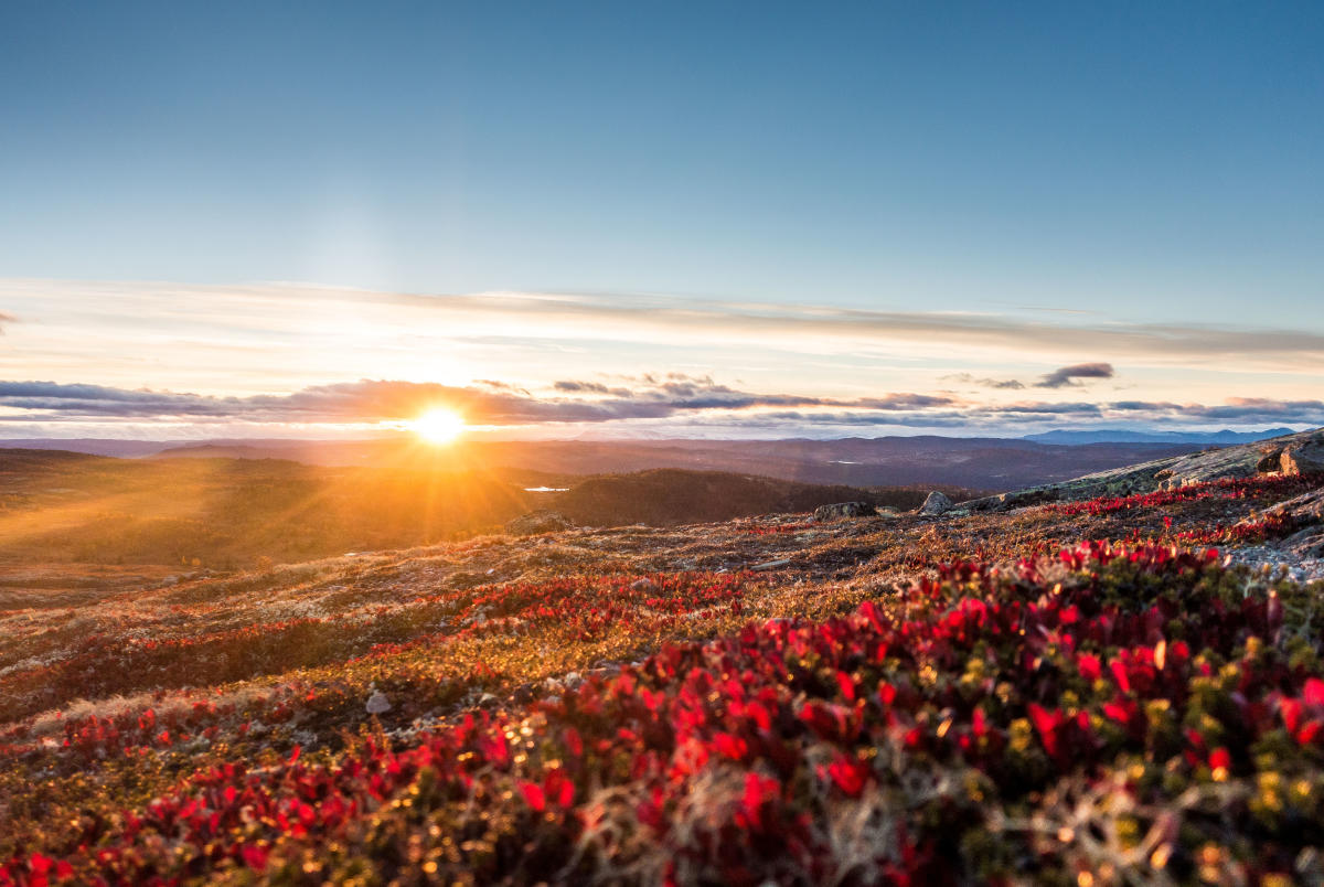 Nesbyen - Offisiell reiseguide fra Nesbyen Turistkontor